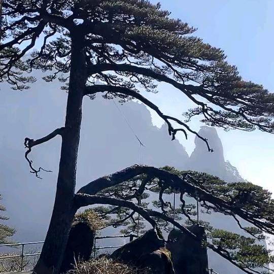 爱听歌