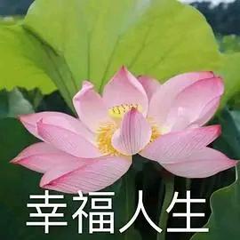 一见钟情