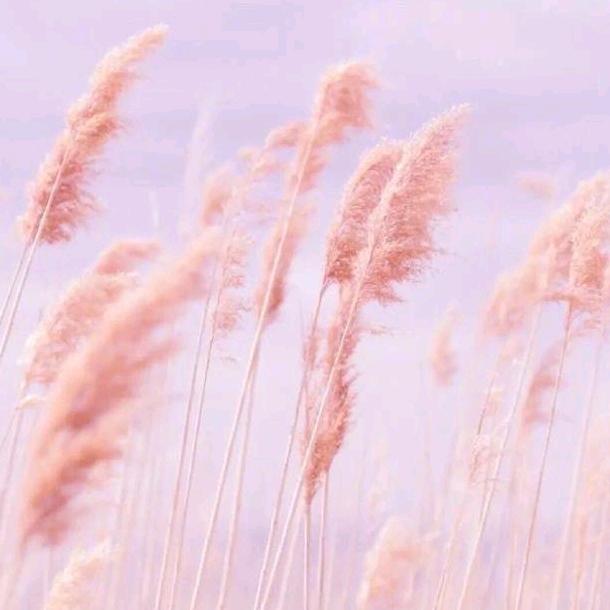 小菜爱玩游戏🙈