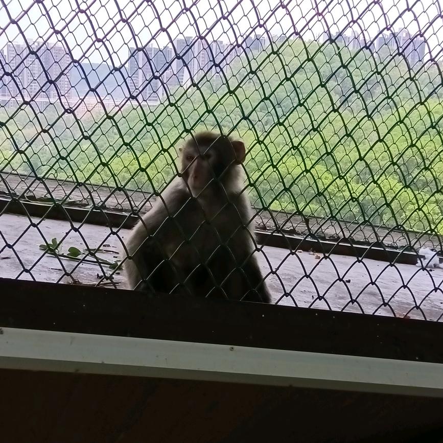 小种子力量大610