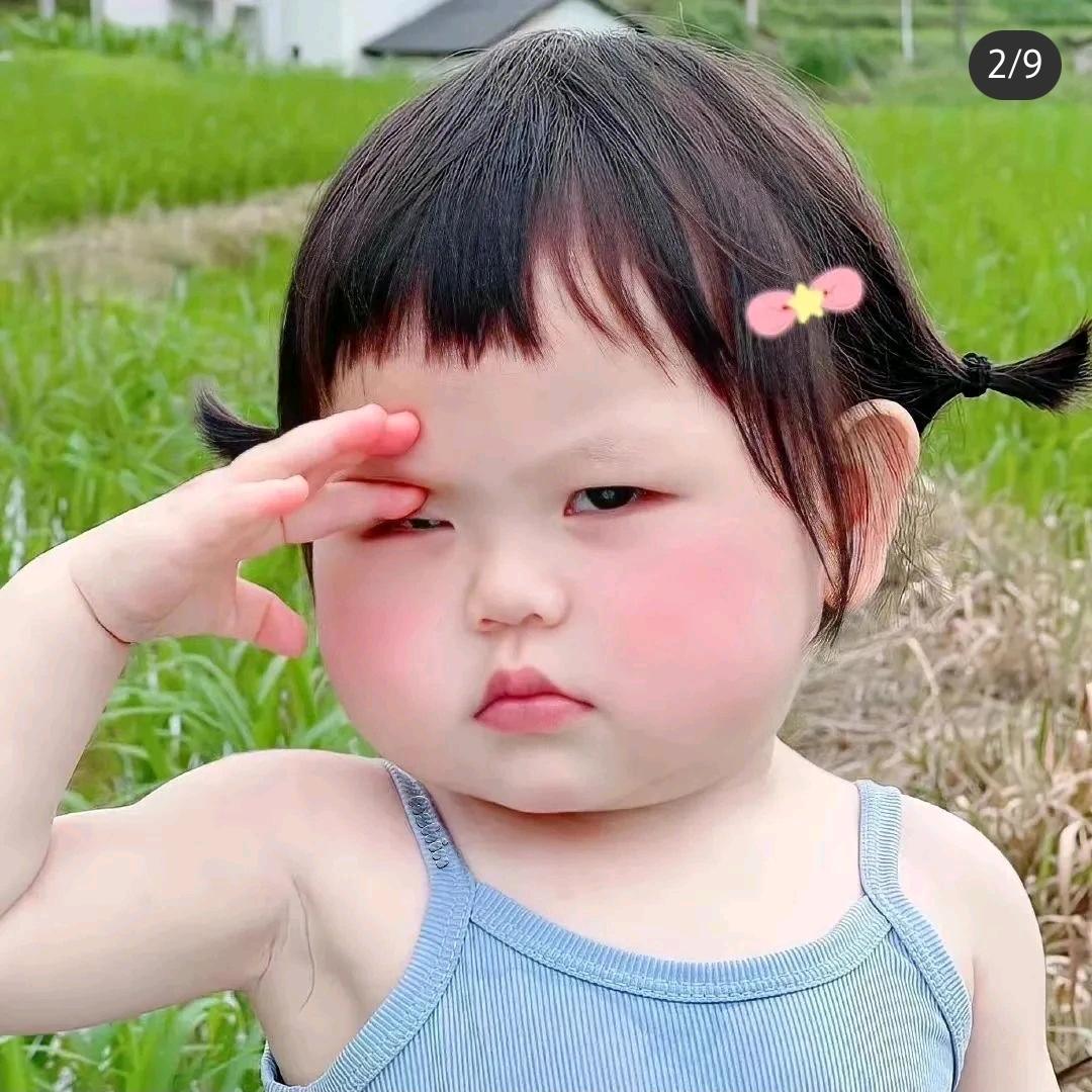 元宝又饿了