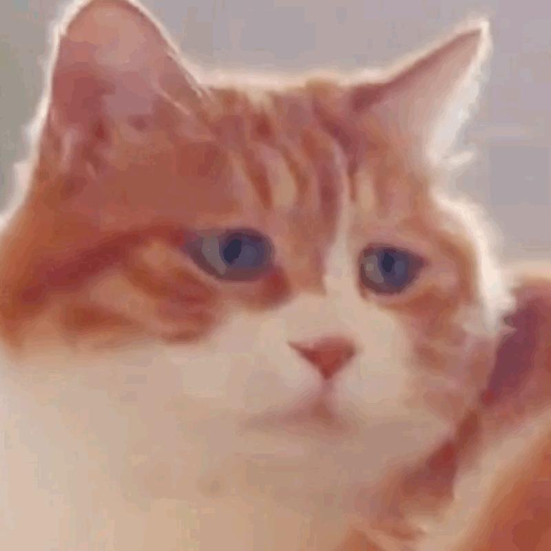 我在人间等风