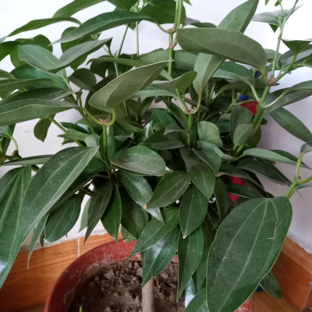 温馨。