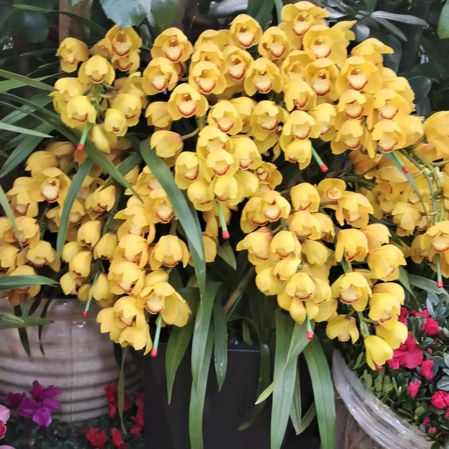 向美好的生活进步