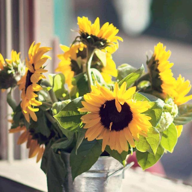 用户3590301079964分