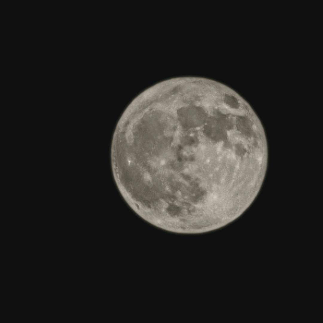 江山如画你似花