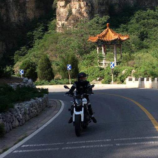 环保塑料包装袋厂家娃娃菜包装袋现货供应