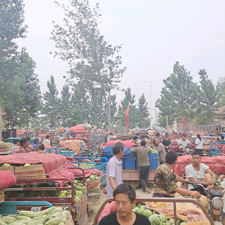 杨艳峰瓜果蔬菜市场