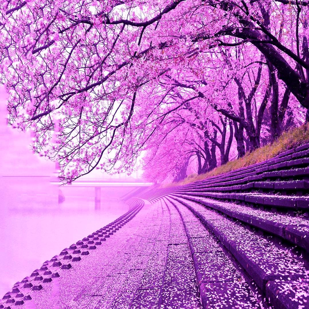 晴天雨天