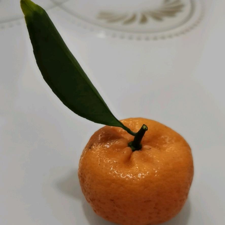 苏苏拓跋伊水头像