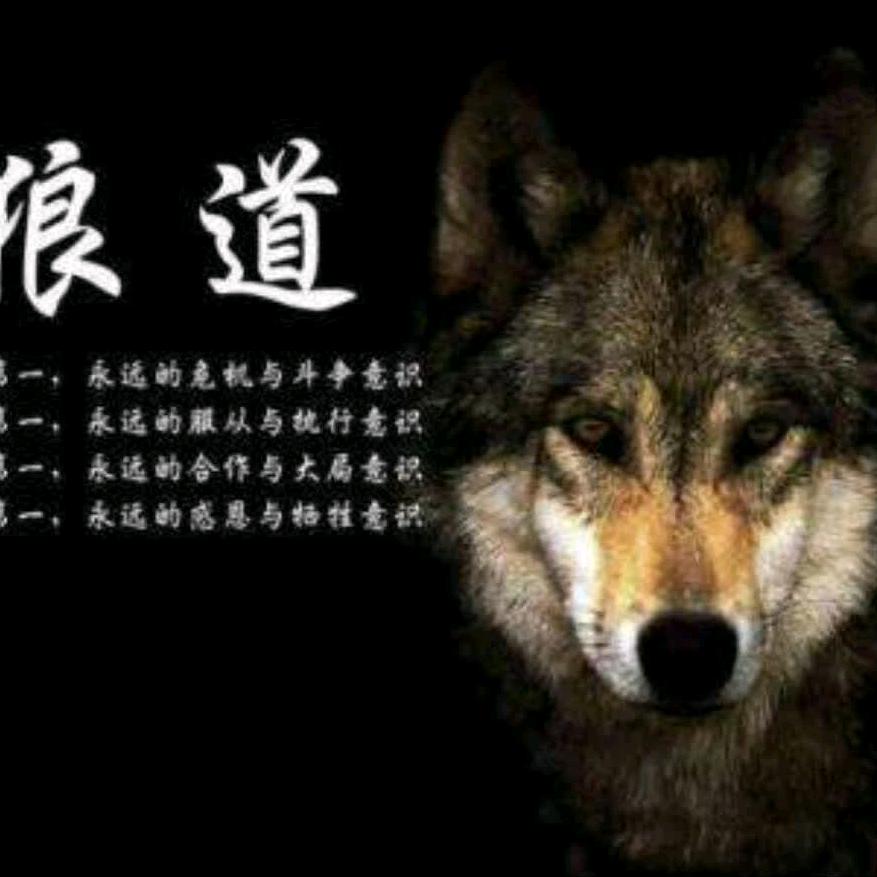 晨阳