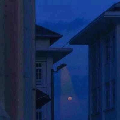 鸟屿📷