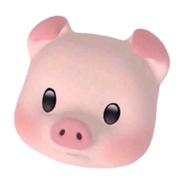 LLLLLLq
