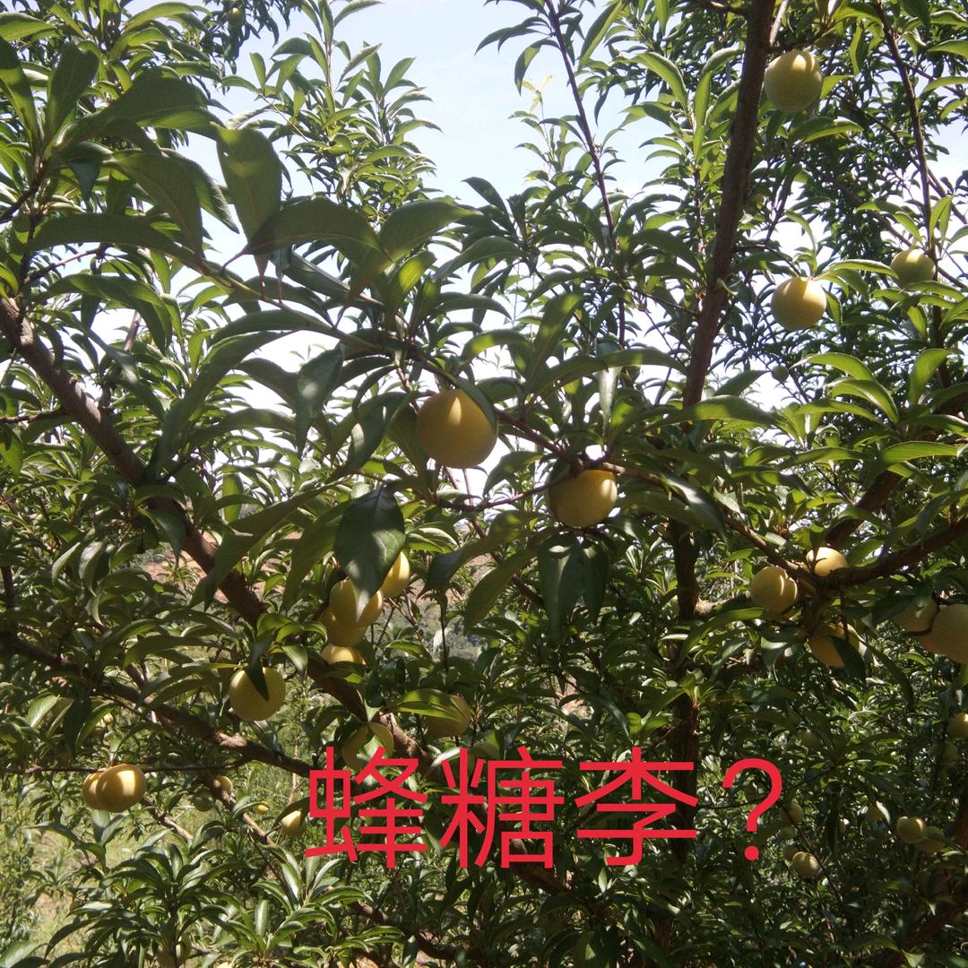 平安就是幸福。