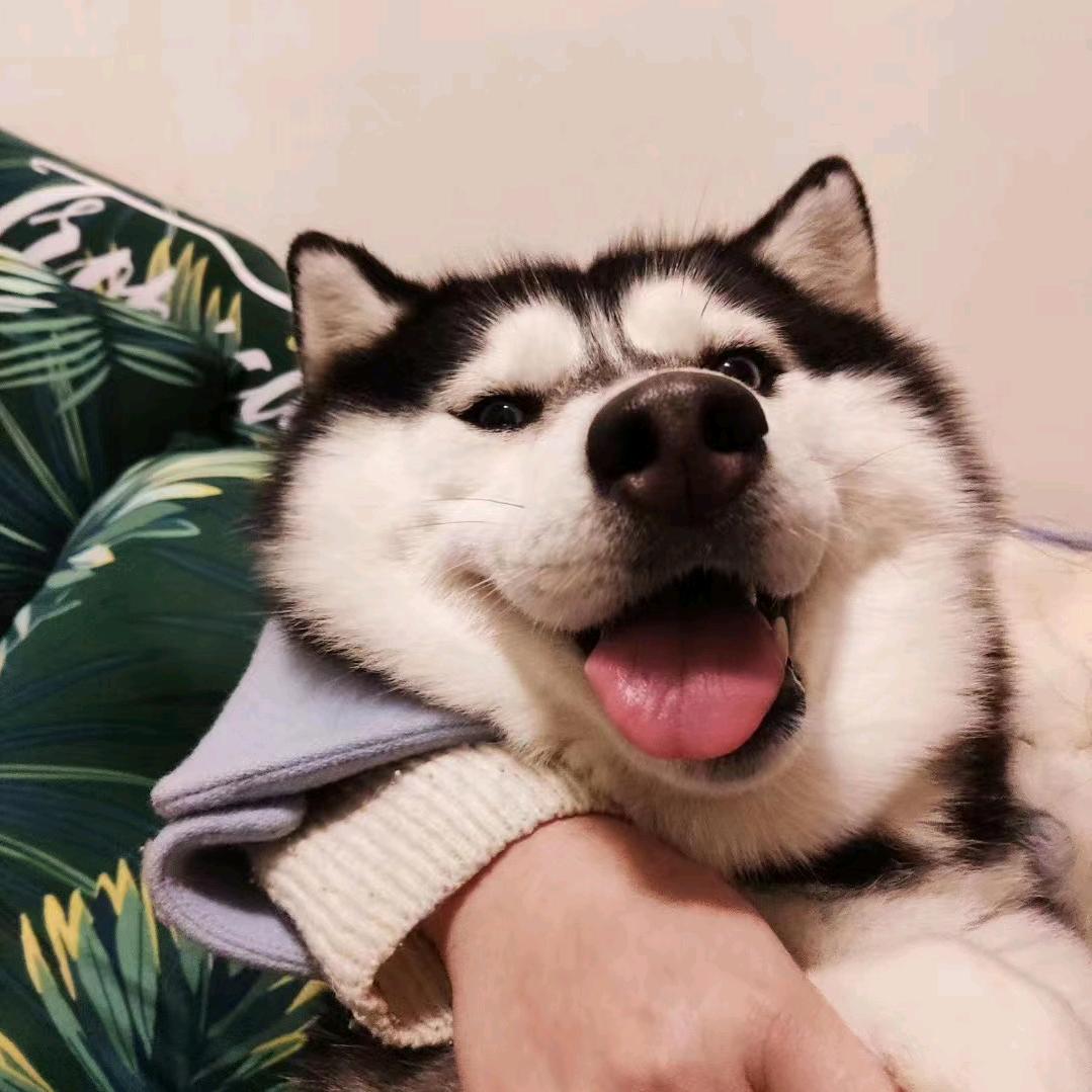 一天一个马拉松