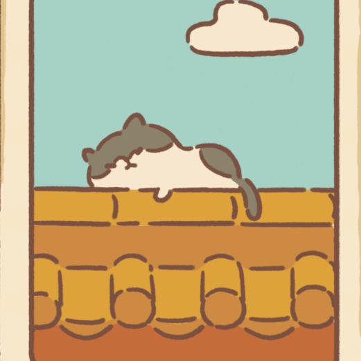 房屋上的猫