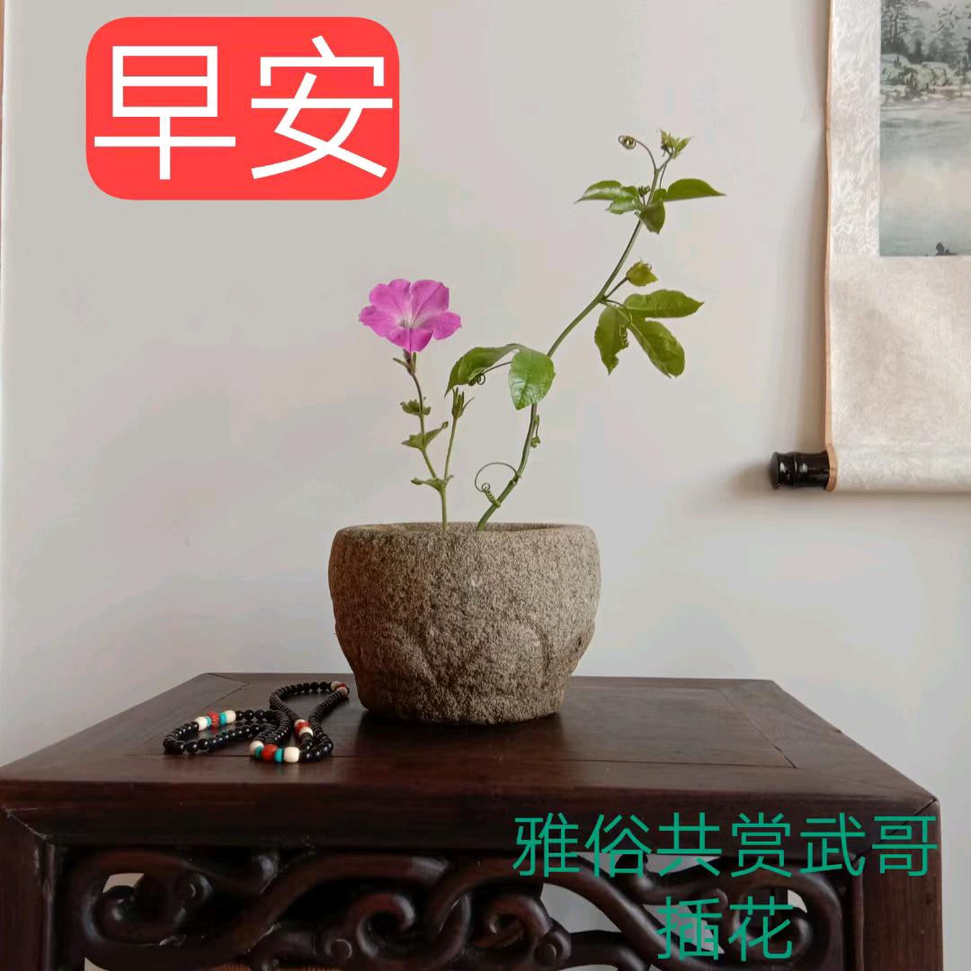 威海武哥