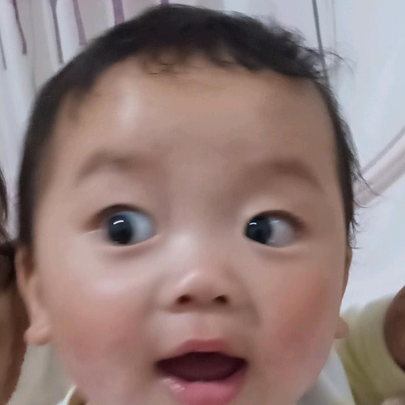 lehui53484