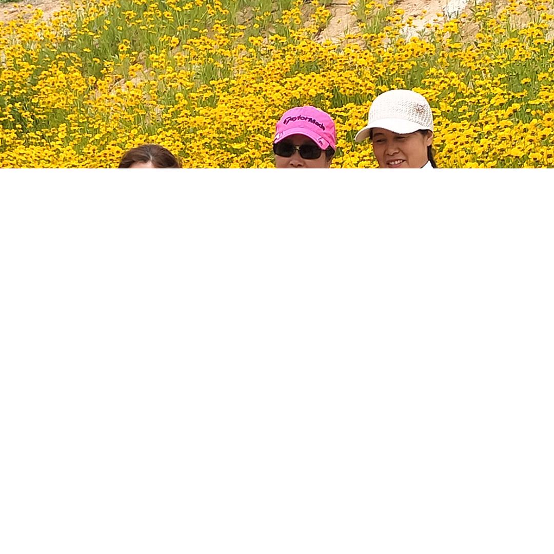 老友