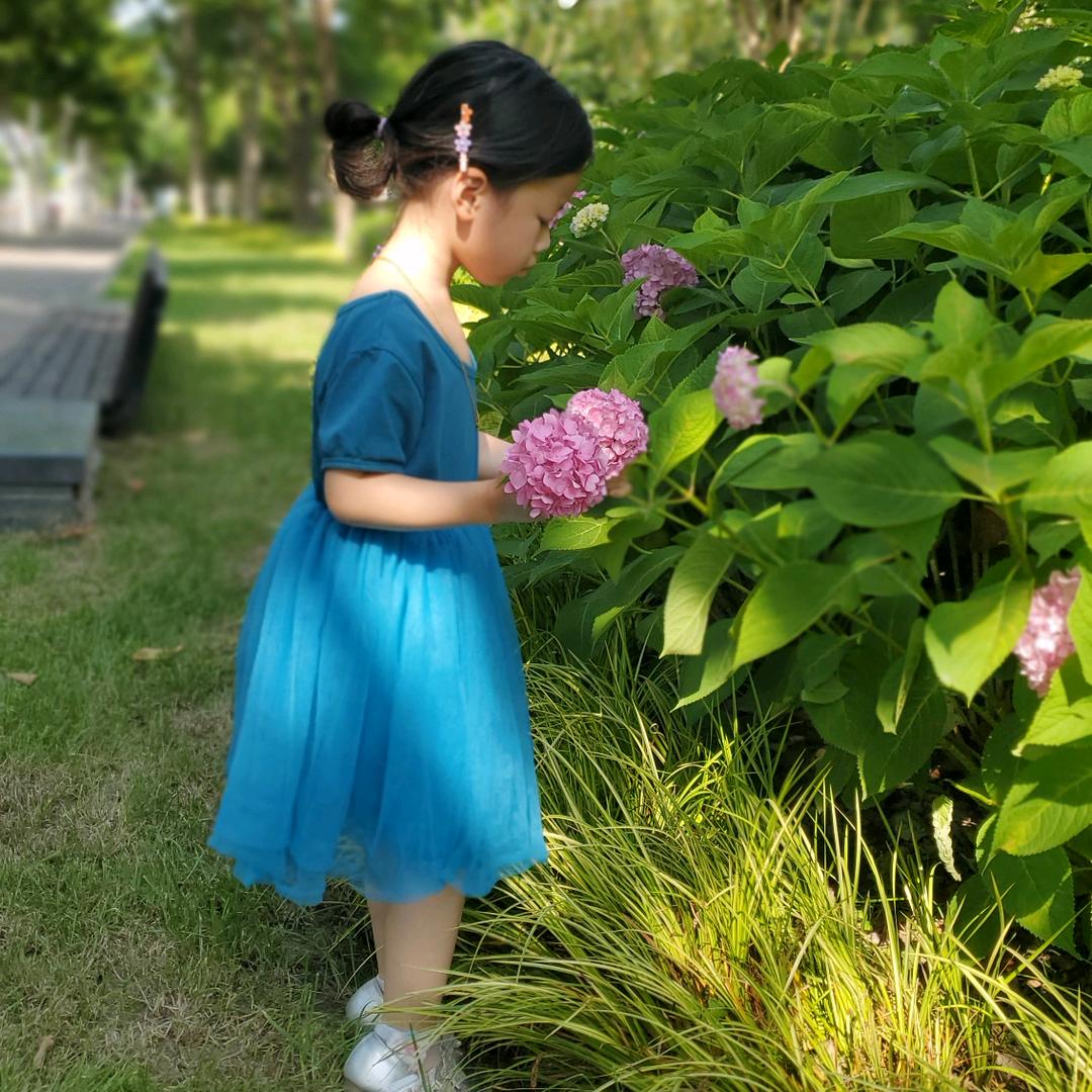 从容燃烧的胡桃夹子