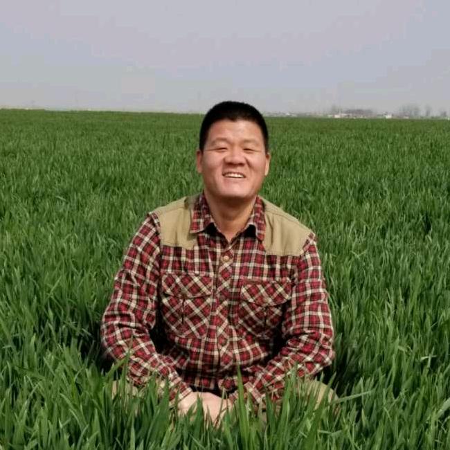 田野上的繁荣
