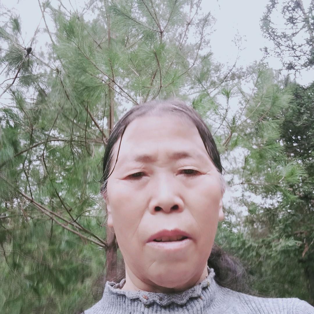 张金芬