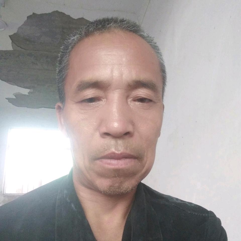 飞翔的白鸽