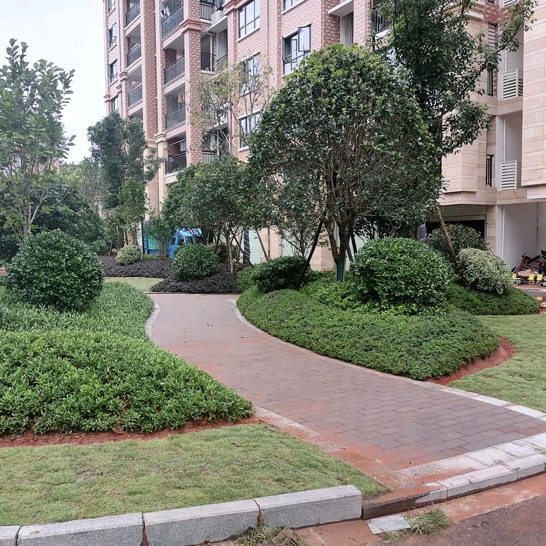 百卉苑园艺郭志强