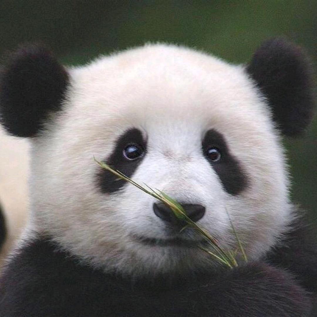 行者🌿无疆