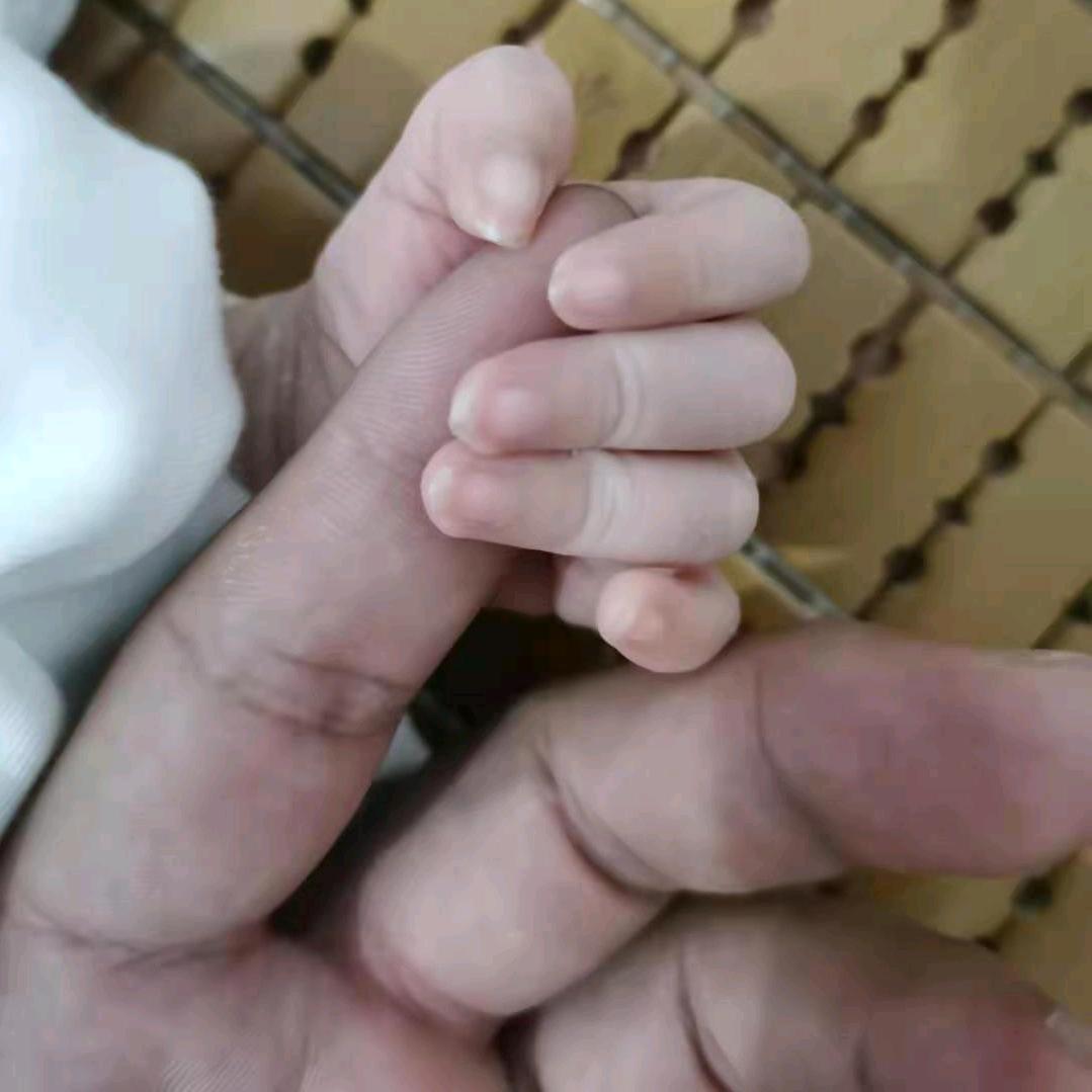 牛马四不像