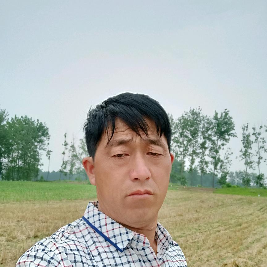 单身做彩钢瓦棚