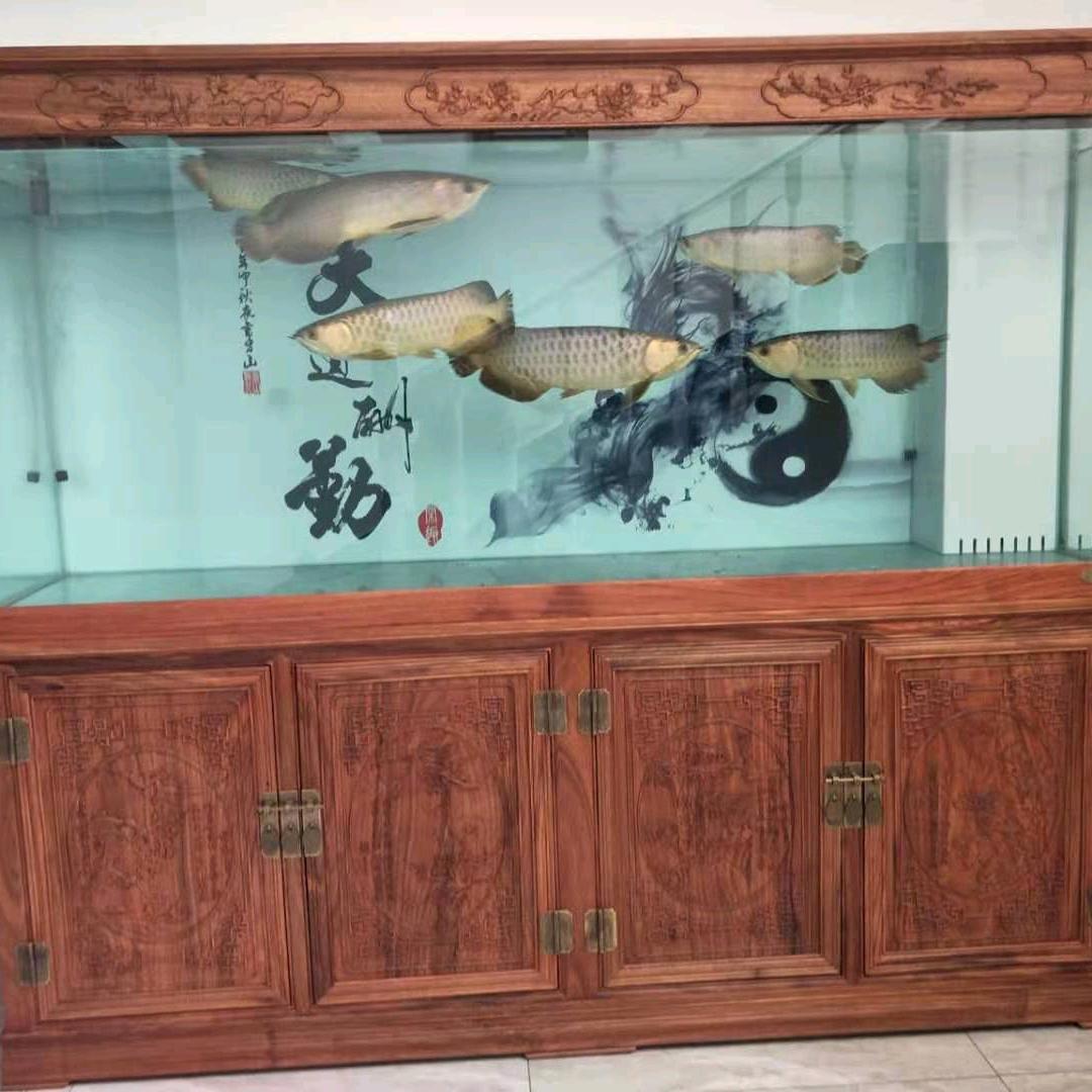 长子鱼缸一条龙服务