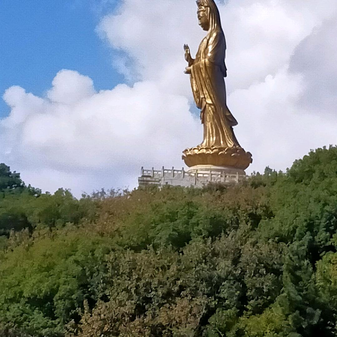 🕊一生有你🕊