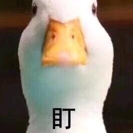 @一条🐟鱼