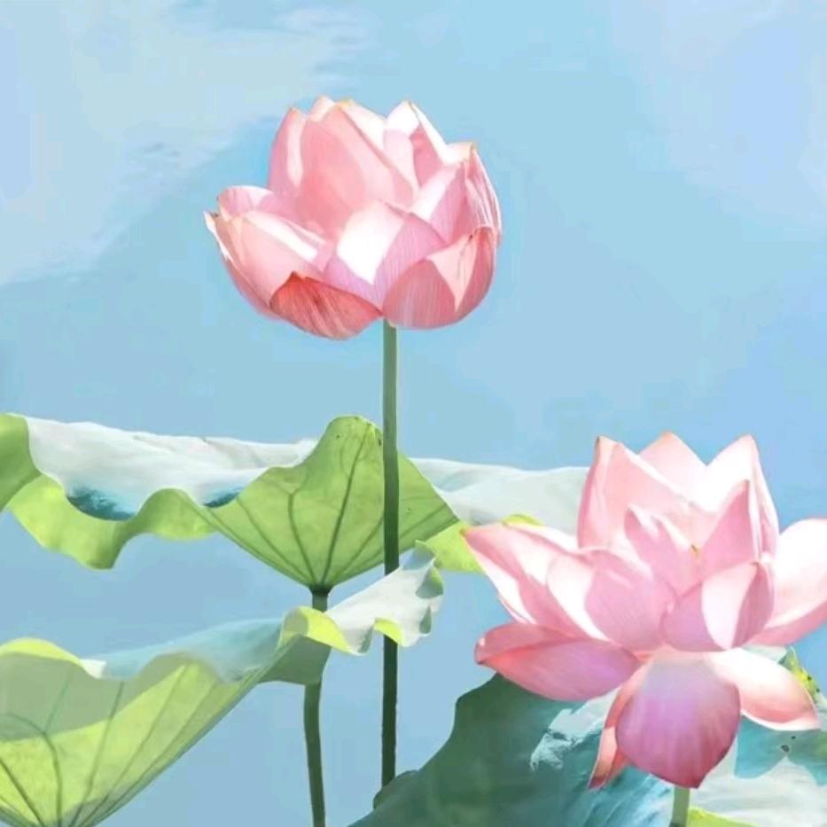 綦秀琴