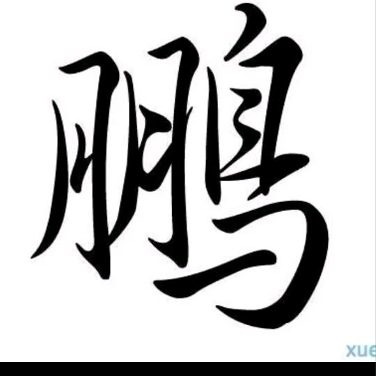 东北浩楠