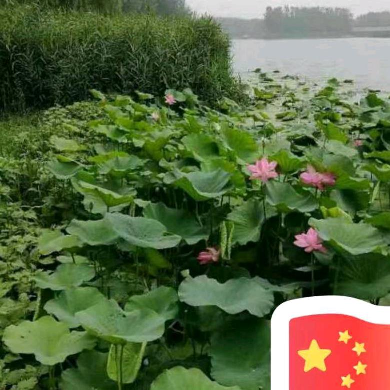 平安