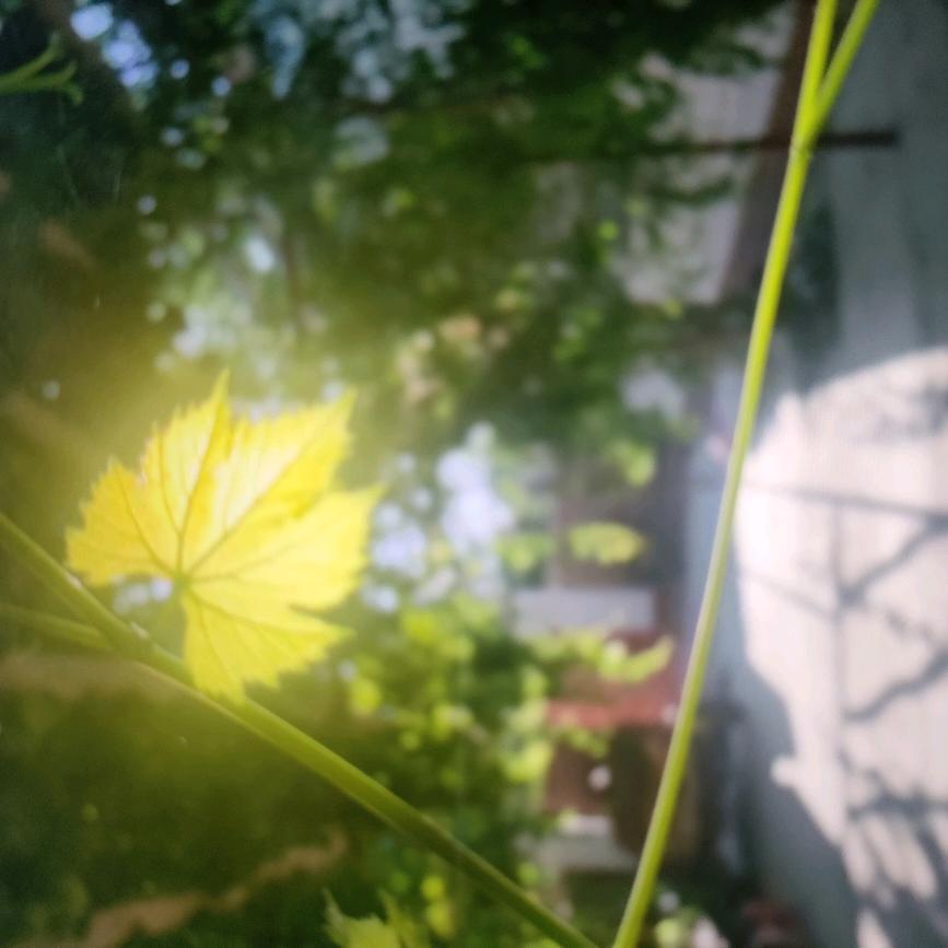 春暖花开.