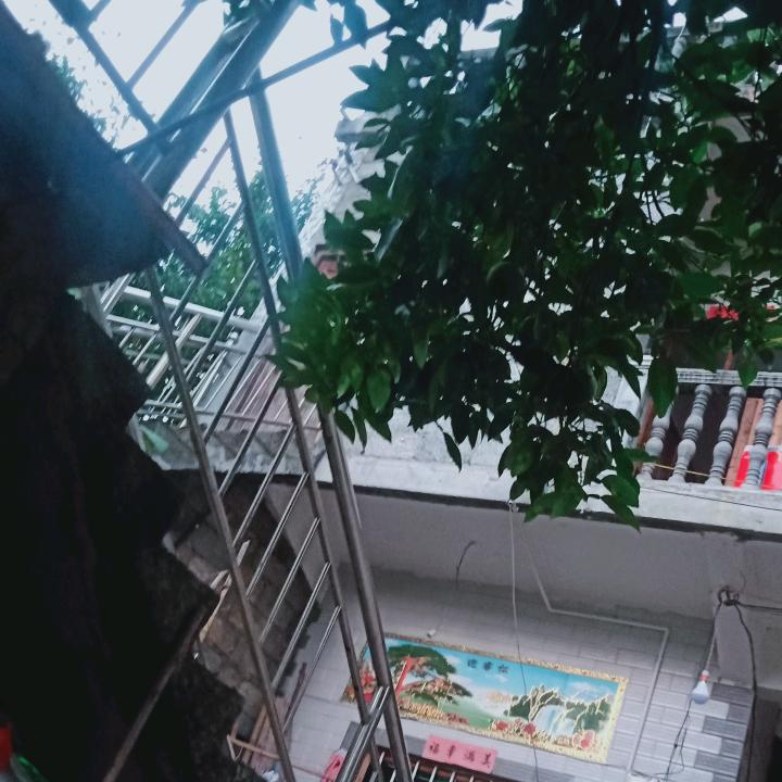 和颜一天
