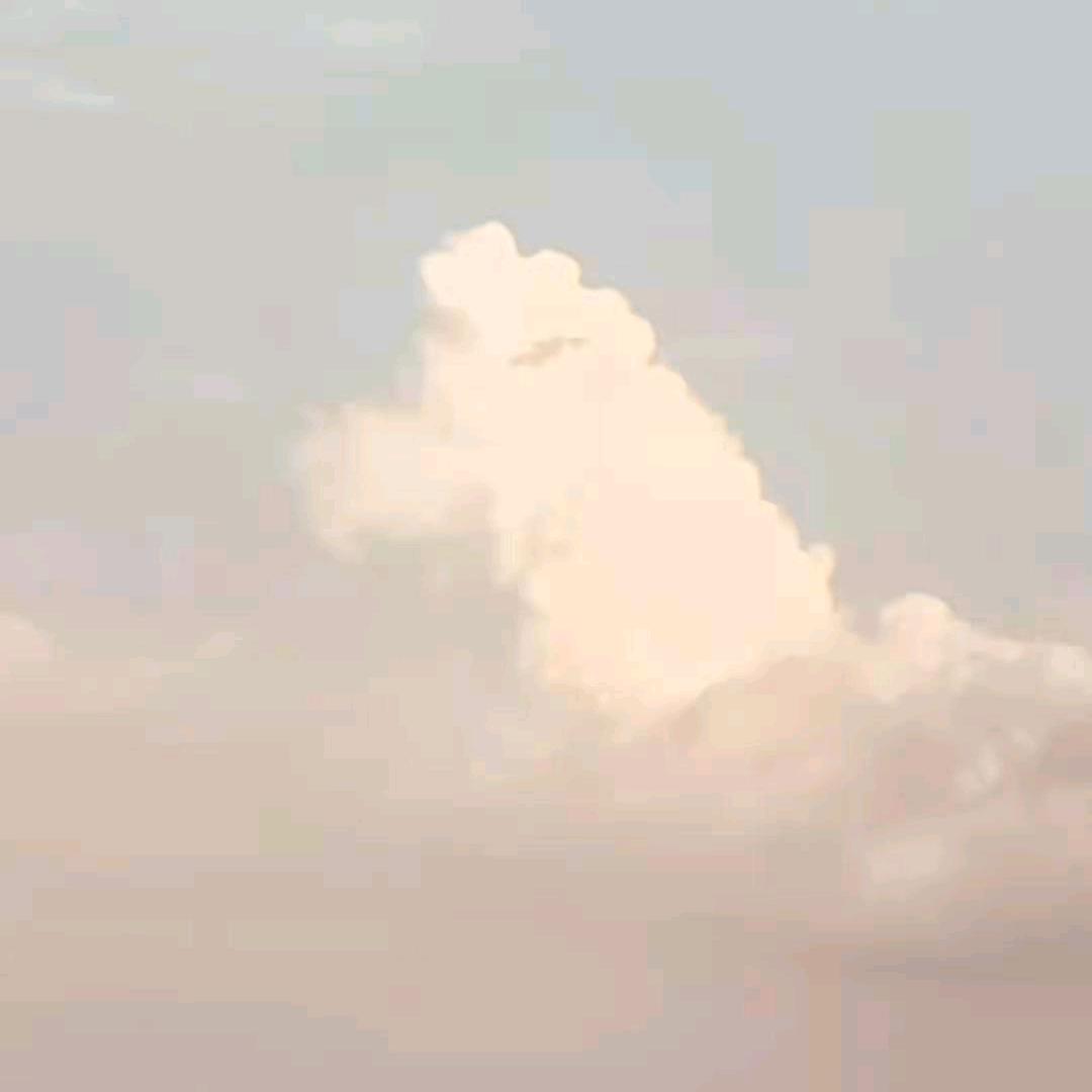 结缘