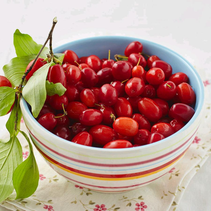 四季福一“吹皱一池春水”