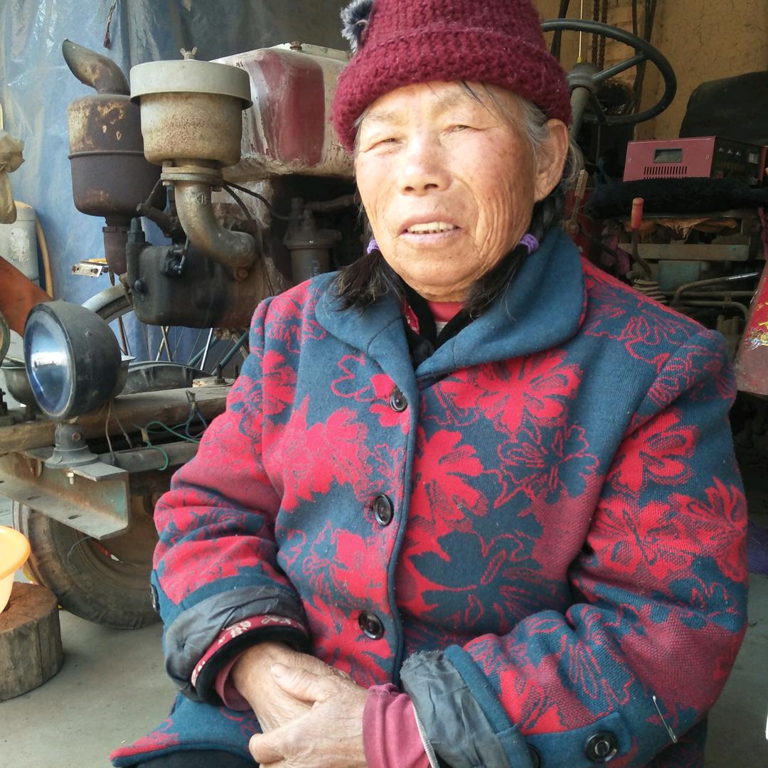 农村王奶奶
