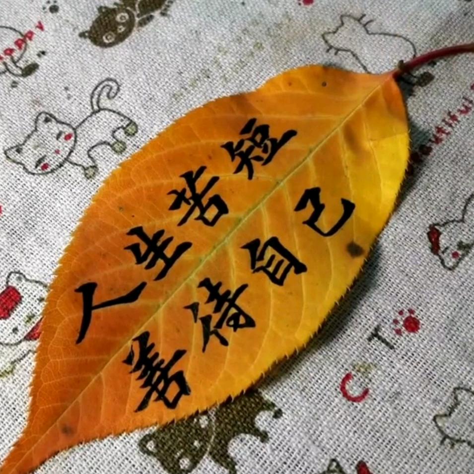 单车追梦
