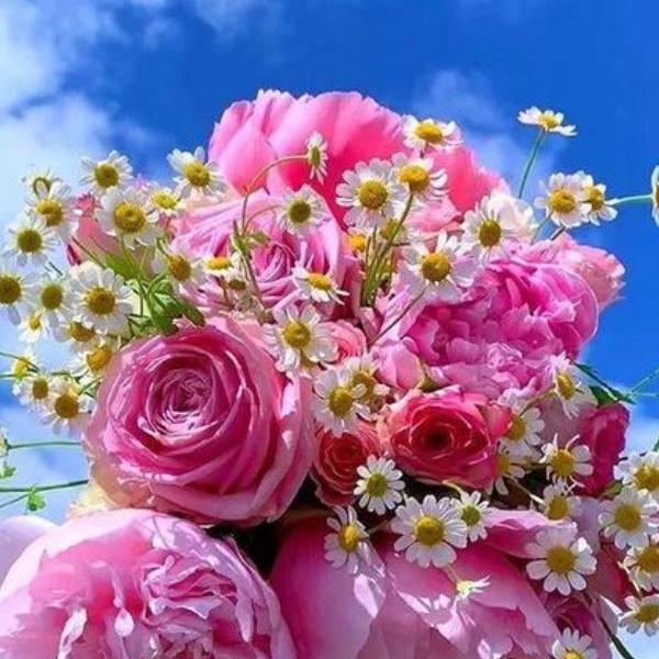 天天开心.🌺