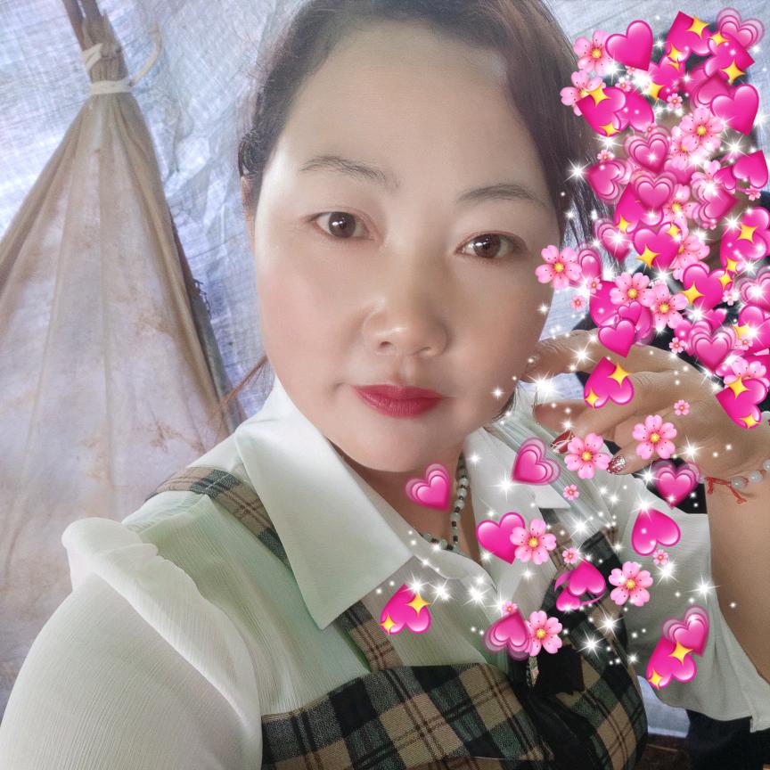 无根草打鼓妹陈