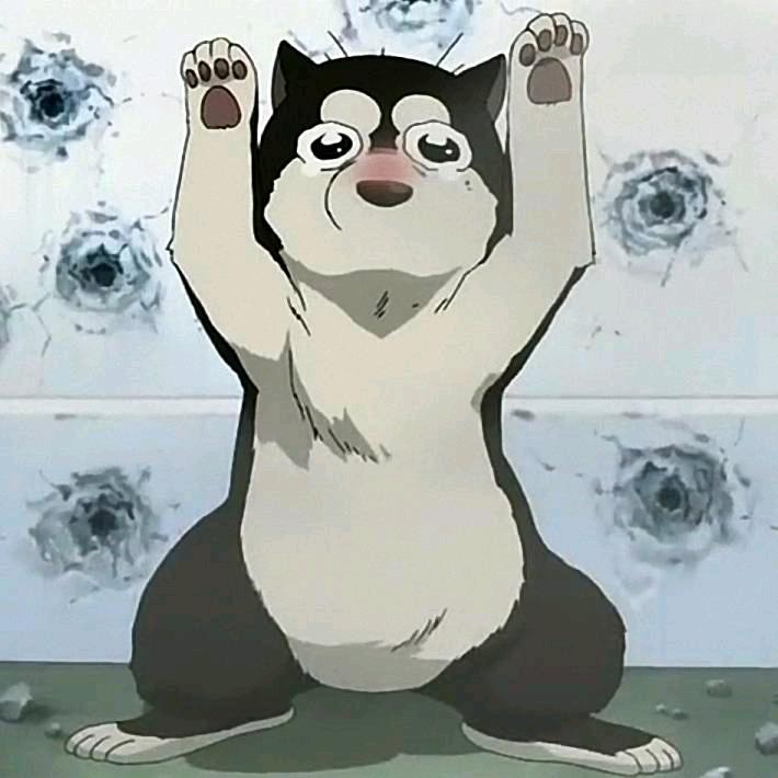 🍀『KiD』毅™🌈鸿运版