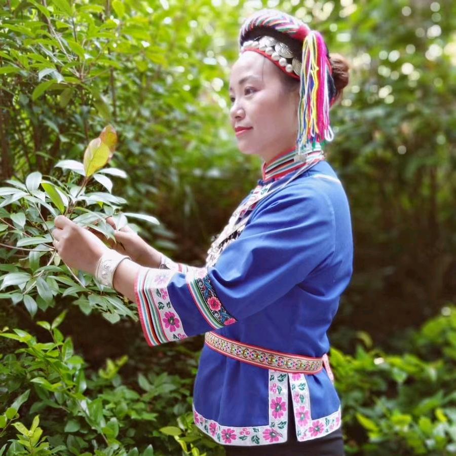 菲琳媚艳