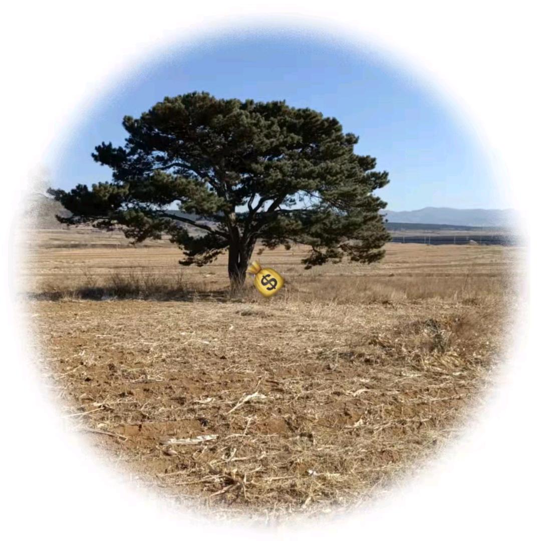 英