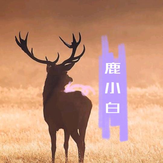鹿小白