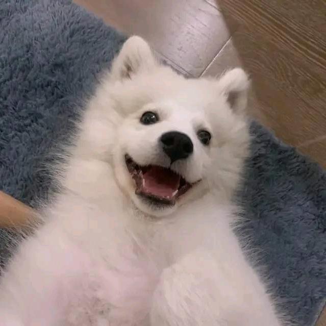 远离甘草片